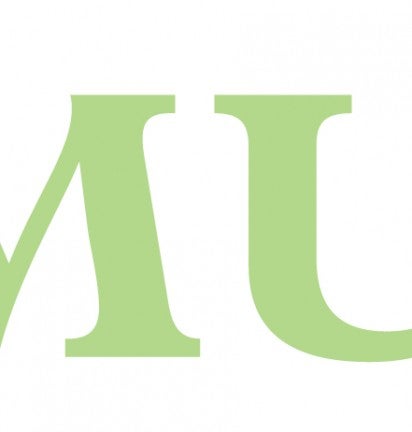 amur logo